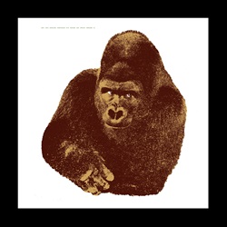＜ヤマギワ＞ DANESE（ダネーゼ）「Quindici il gorilla」[461DEDZ15] ポスター画像
