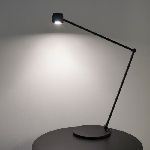 W225 ION B2020 ブラック W Max890mm