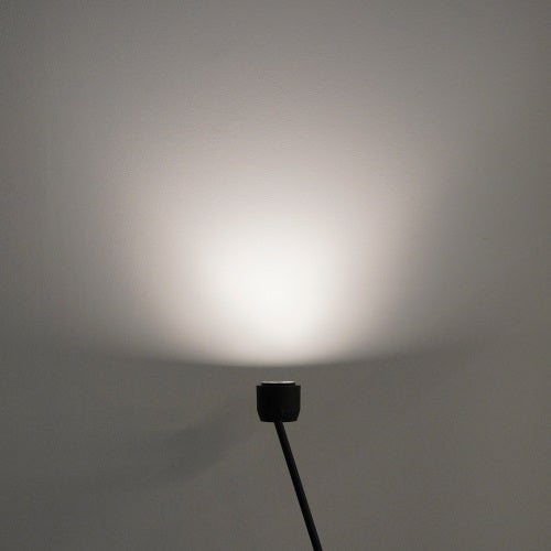 W225 ION B2020 ブラック W Max890mm