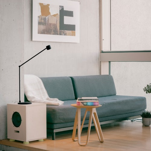 W225 ION B2020 ブラック W Max890mm