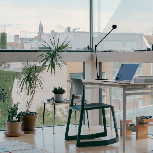 W225 ION B2020 ブラック W Max890mm