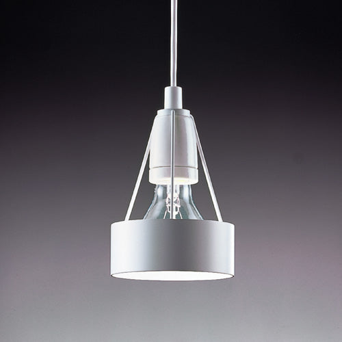 【廃番】Louis Poulsen(ルイスポールセン) ペンダント照明 Pakhus(パークフース)Φ110mm