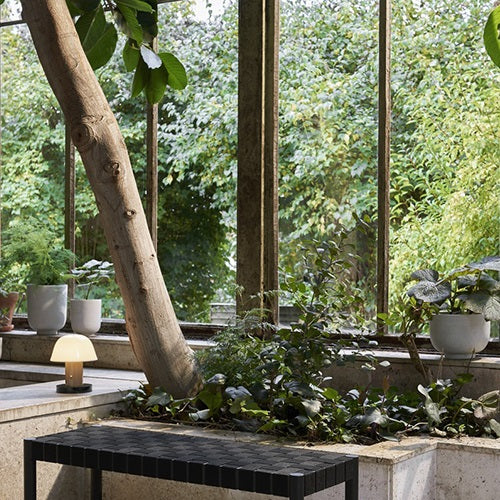 クリスマス前にお届け★|Setago JH27 ヌード / フォレスト H221mm