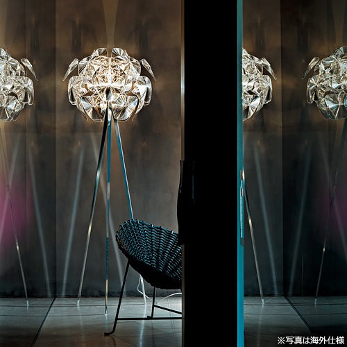 【廃番】HOPE クリア H1980mm