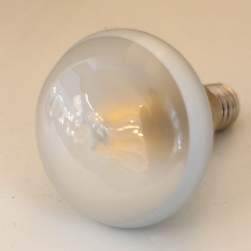 【廃番】FLOS（フロス）FUCSIA用LED電球 [91R50-LDF002A]商品画像