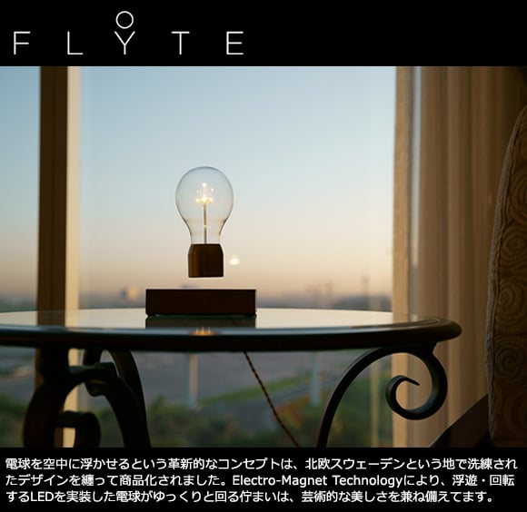 FLYTE（フライト）Buckminster バックミンスター | インテリア照明 