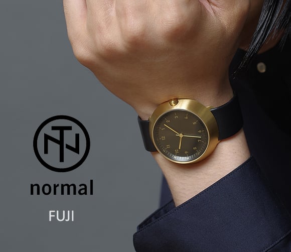 normal（ ノーマル ）_FUJI φ43mm