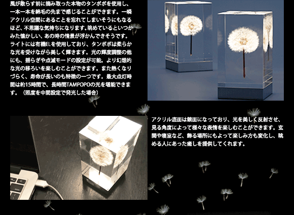 TAKAO INOUE(タカオ イノウエ)OLED TAMPOPO Light(タンポポ)[996TMP-OEL-01]