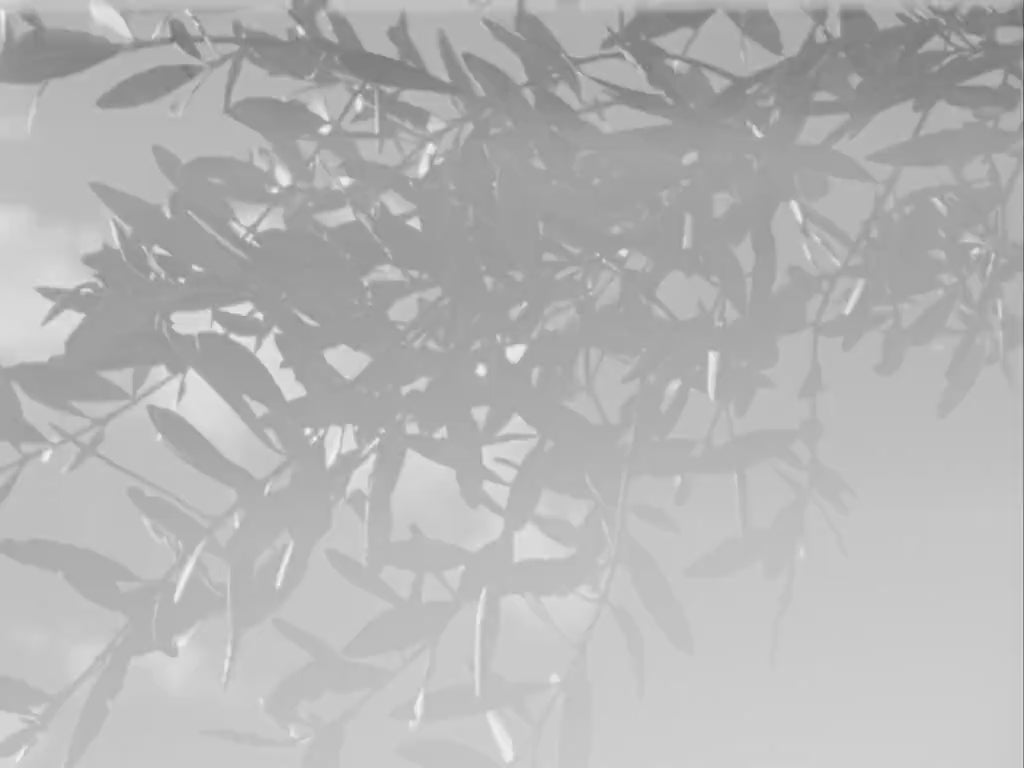 NEBRA PENDANT LAMP SMALL ホワイト Φ500～750mm